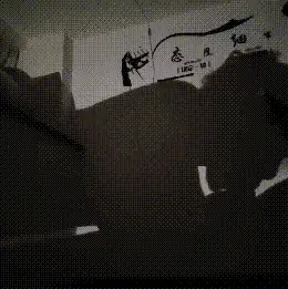 1000040698.gif
